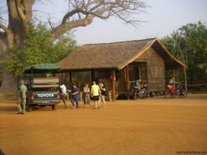 Safari Tour in Bandia 