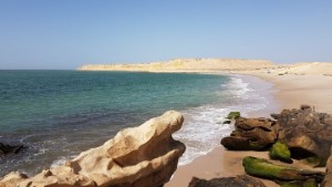 Safari in the Desert Morocco