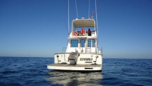 Excursion boat and sea fishing